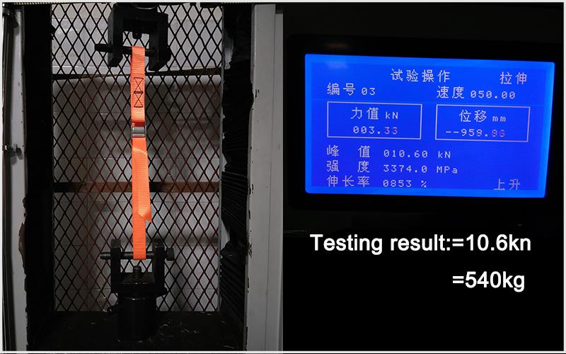 stainless steel cam buckle tie down